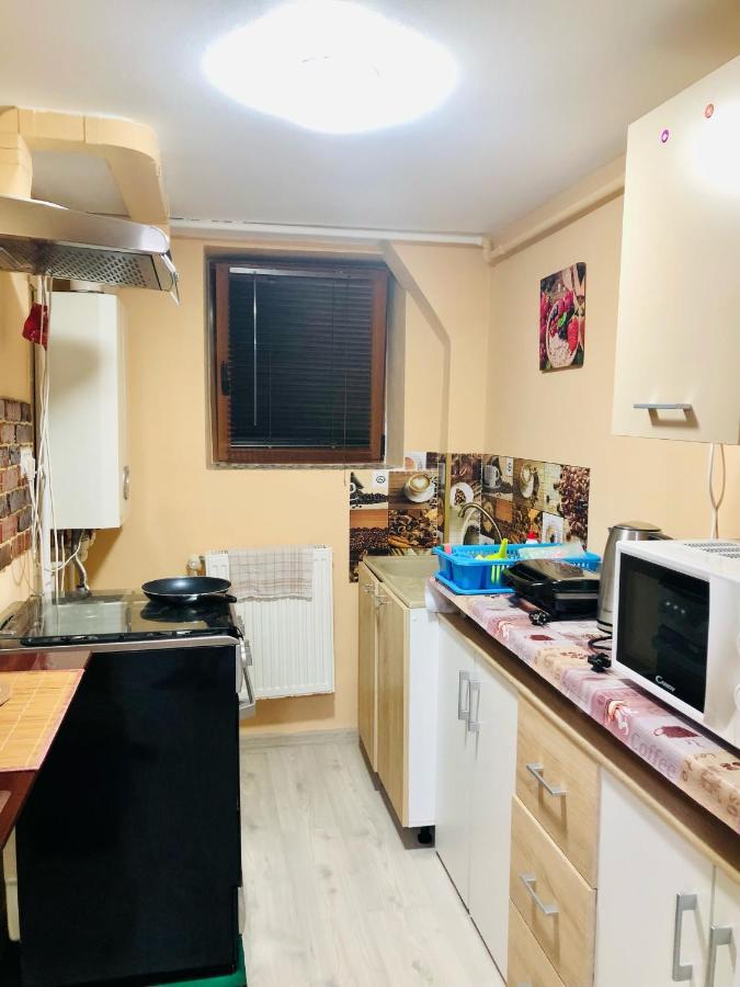 Central Park - Big Apartment - 3 Rooms - Free Parking T5 Timisoara Esterno foto