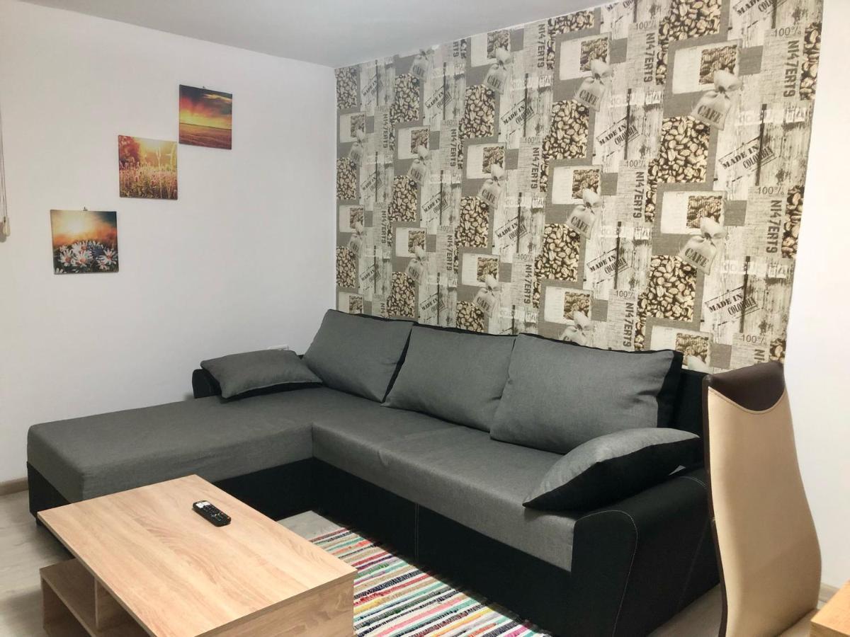 Central Park - Big Apartment - 3 Rooms - Free Parking T5 Timisoara Esterno foto
