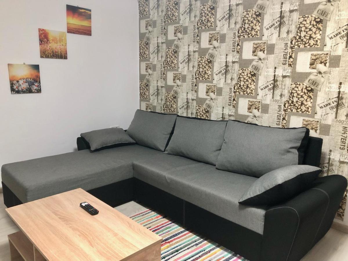 Central Park - Big Apartment - 3 Rooms - Free Parking T5 Timisoara Esterno foto