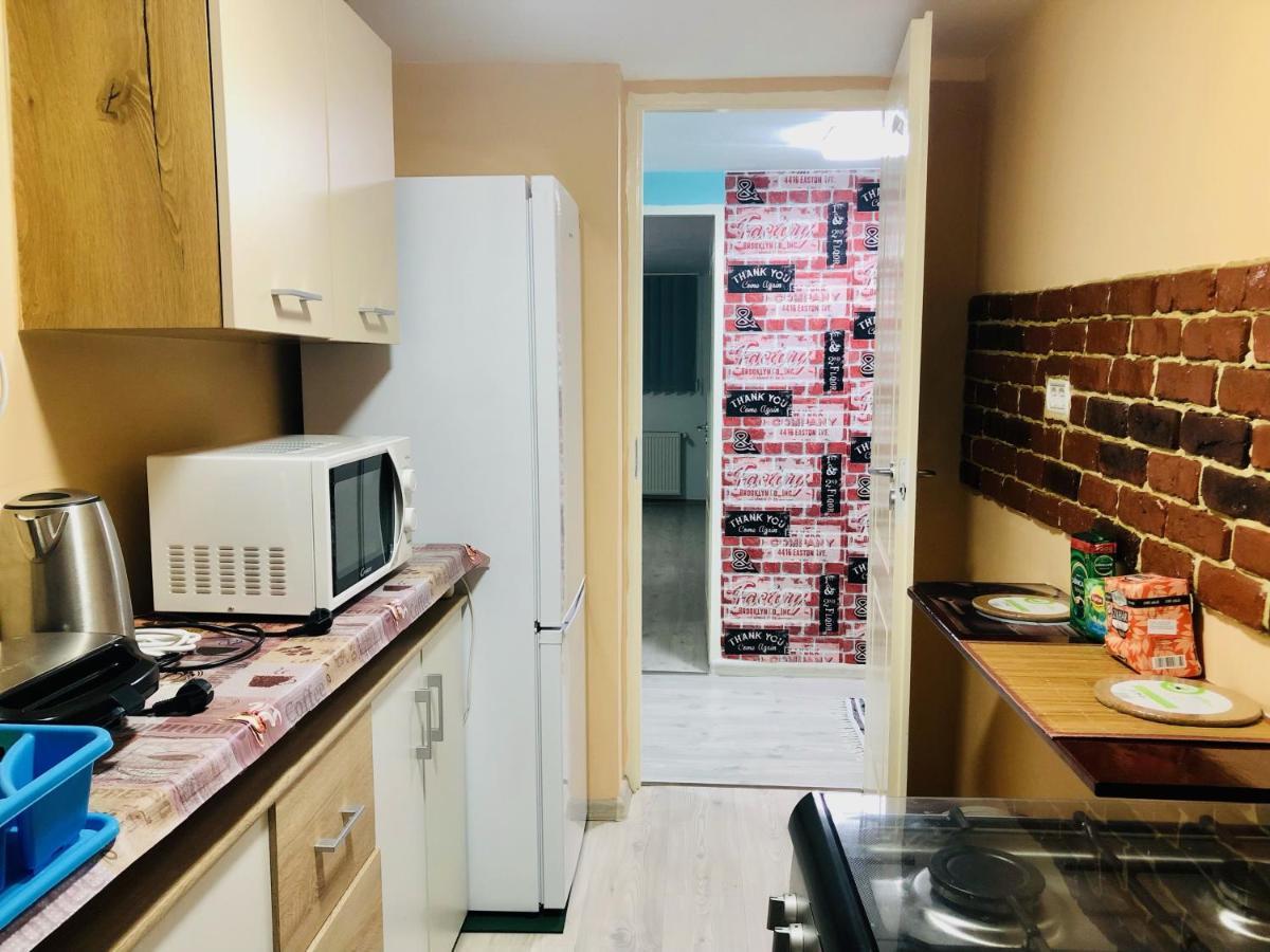 Central Park - Big Apartment - 3 Rooms - Free Parking T5 Timisoara Esterno foto