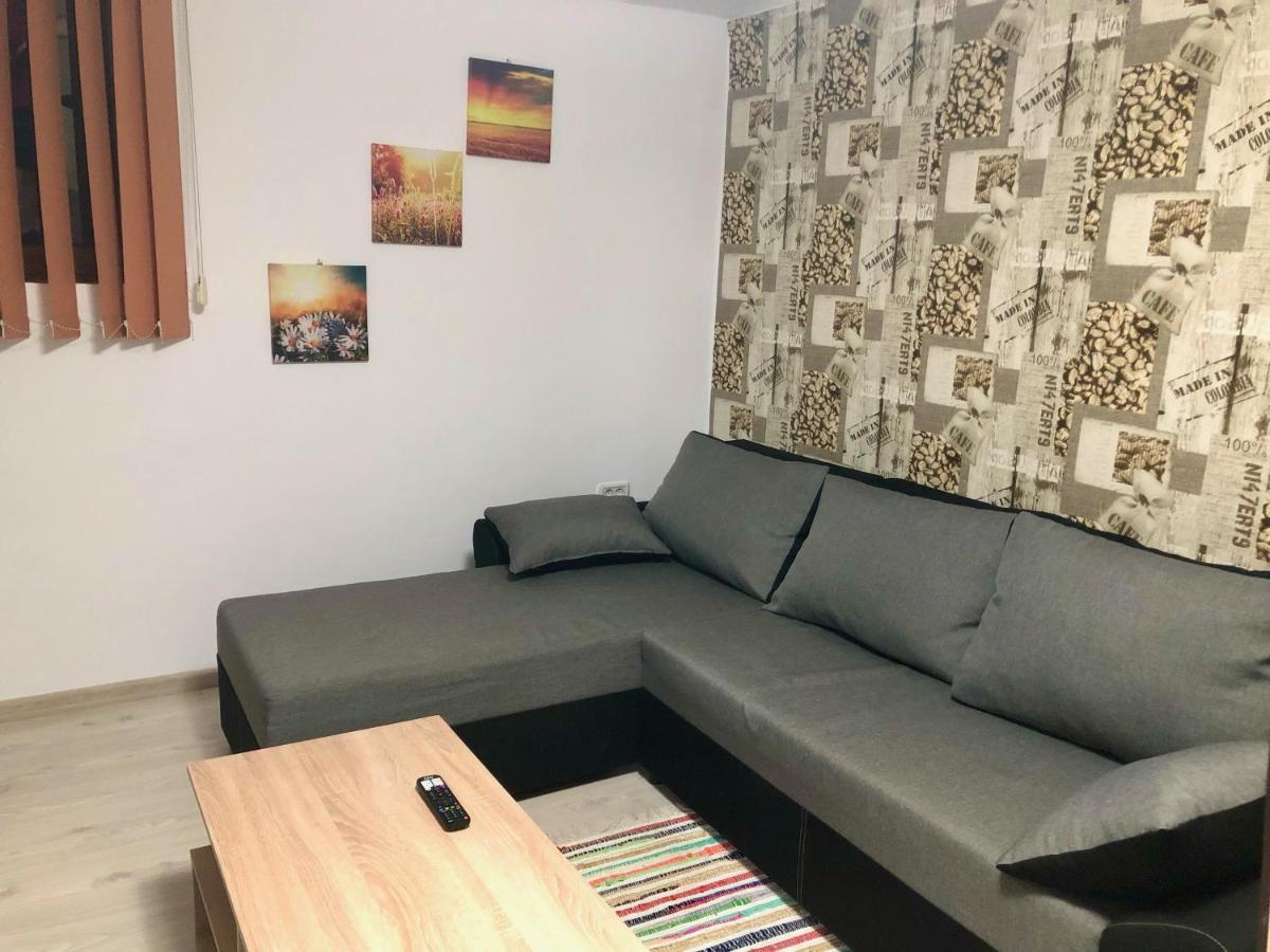 Central Park - Big Apartment - 3 Rooms - Free Parking T5 Timisoara Esterno foto
